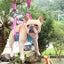 Pet Grooming Hammock For Cats and Dogs - 2