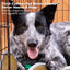 Pet Cushion Mat - 1