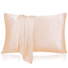 2 pcs Mulberry Silk Pillow Cases in Various Colors | poshpudu